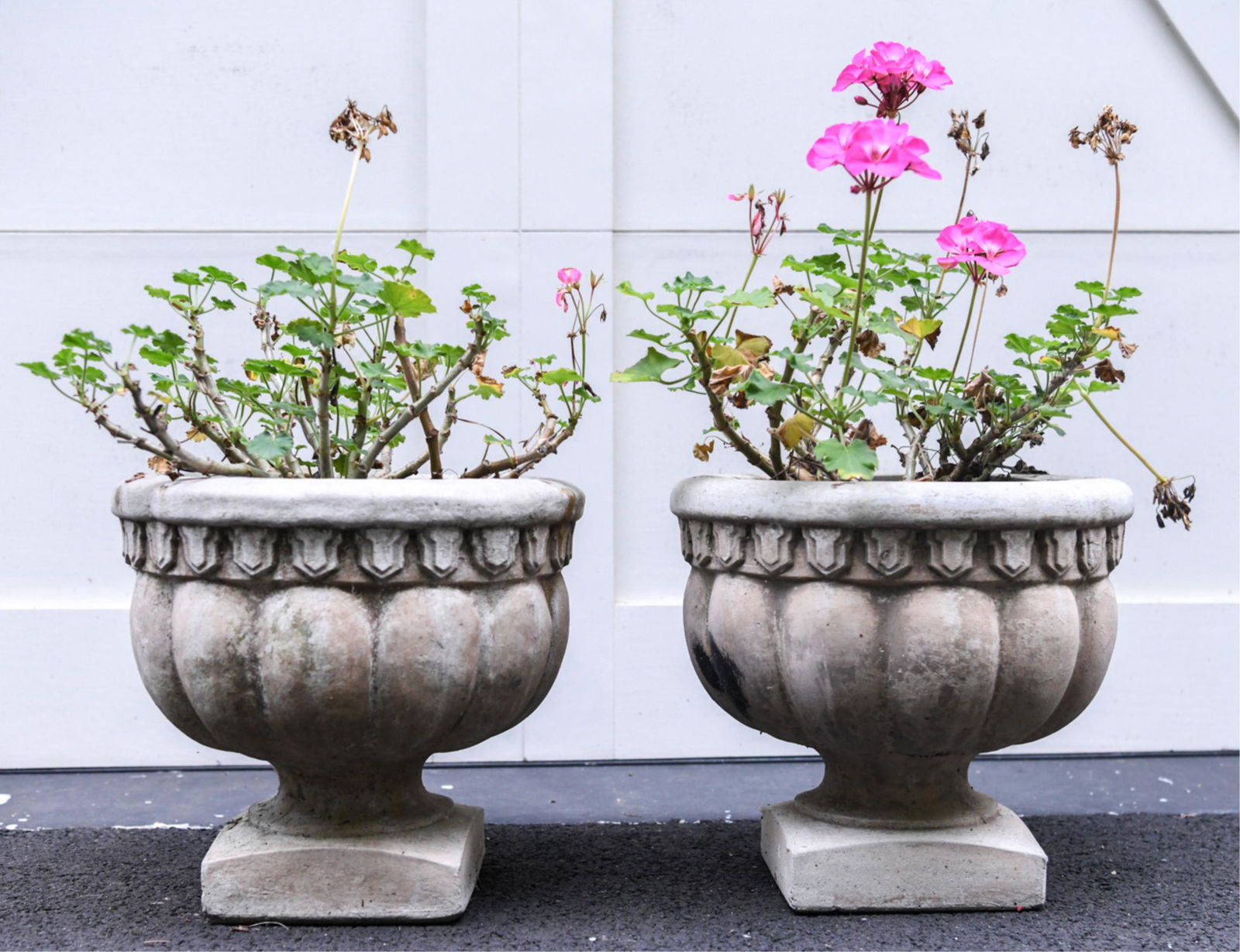PAIR OF CEMENT PLANTERS (1 of 7)
