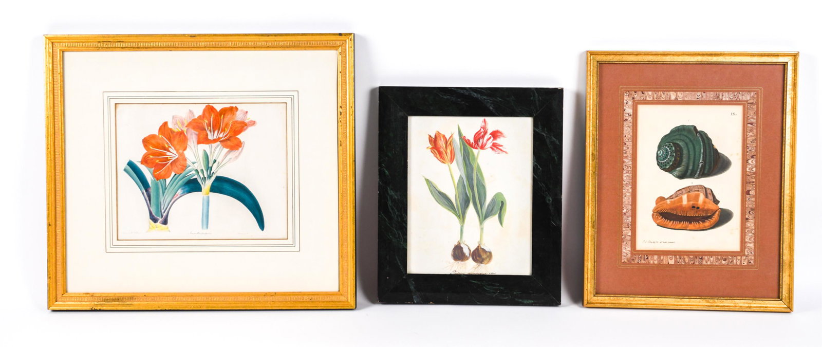 (3) PRINTS (1 of 19)