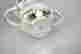 item-117061681=10