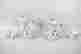 item-117061681=5