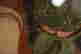 item-121069947=6