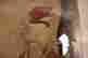 item-121069947=8