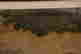 item-121069947=9