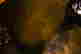 item-121069963=12