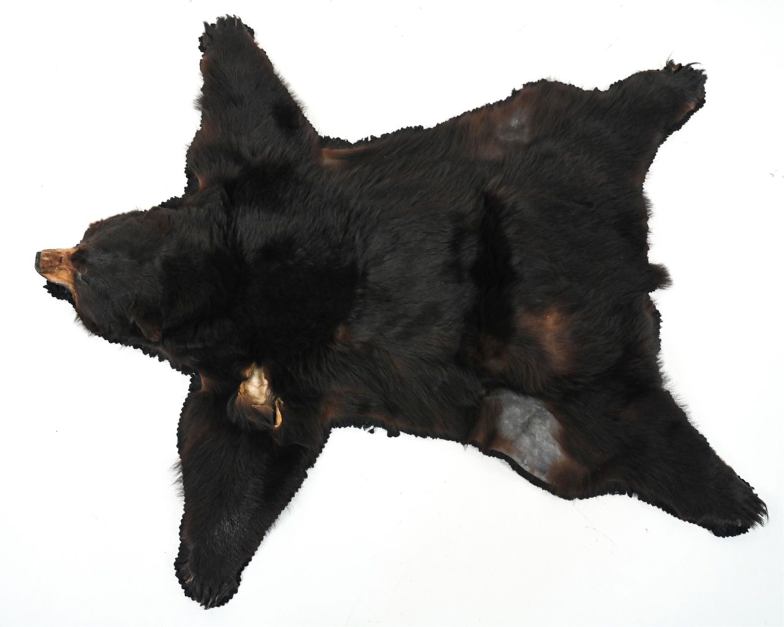 ANTIQUE BROWN BEAR SKIN RUG (1 of 12)
