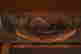 item-123911149=10