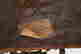 item-123911149=12