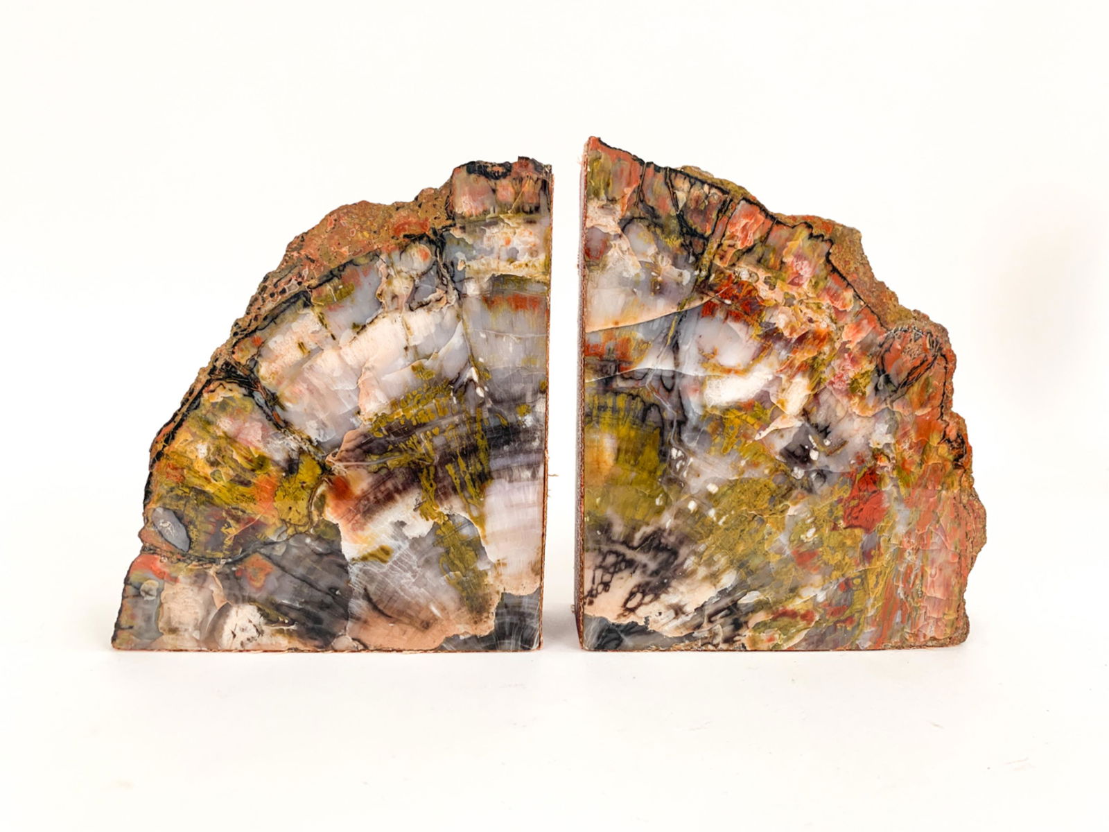 PETRIFIED WOOD BOOKENDS (1 of 6)