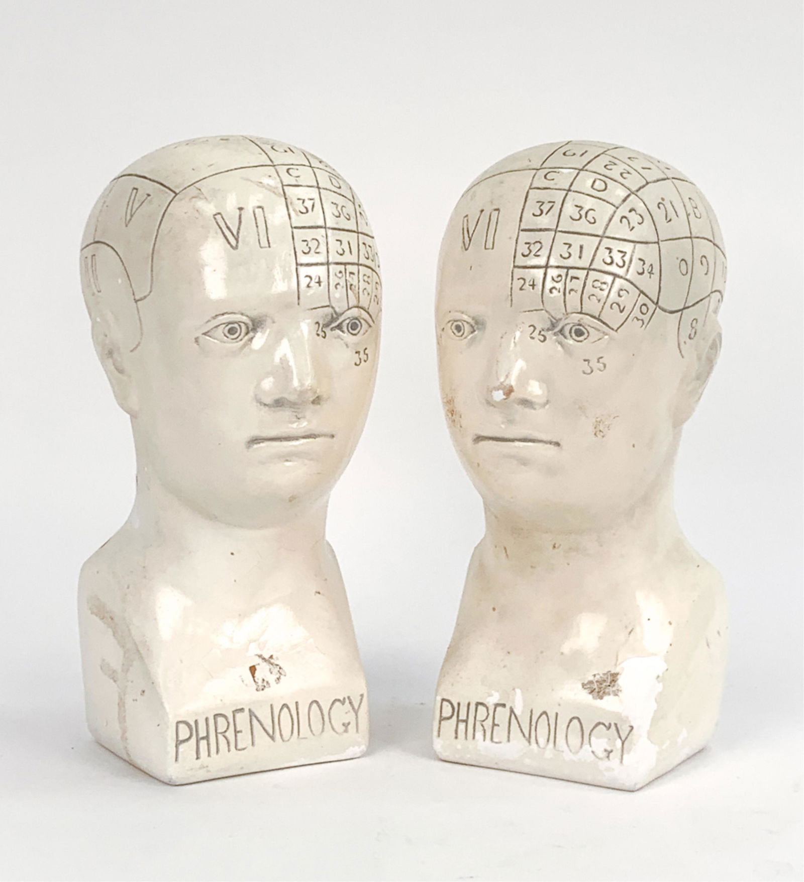 (2) CONTEMPORARY PHRENOLOGY HEADS (1 of 13)