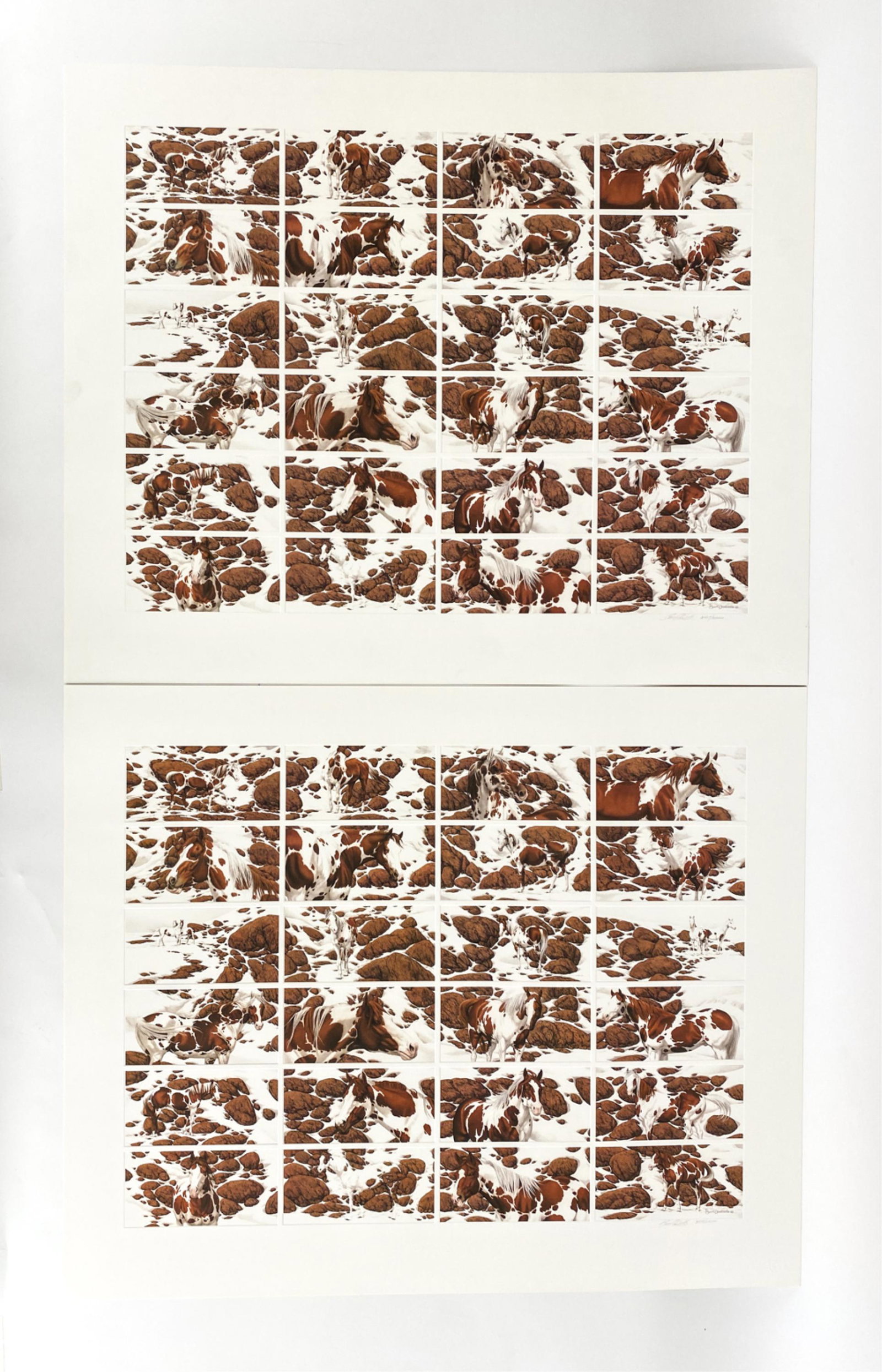 (2) BEV DOOLITTLE HIDE AND SEEK LTD. ED. PRINTS (1 of 18)