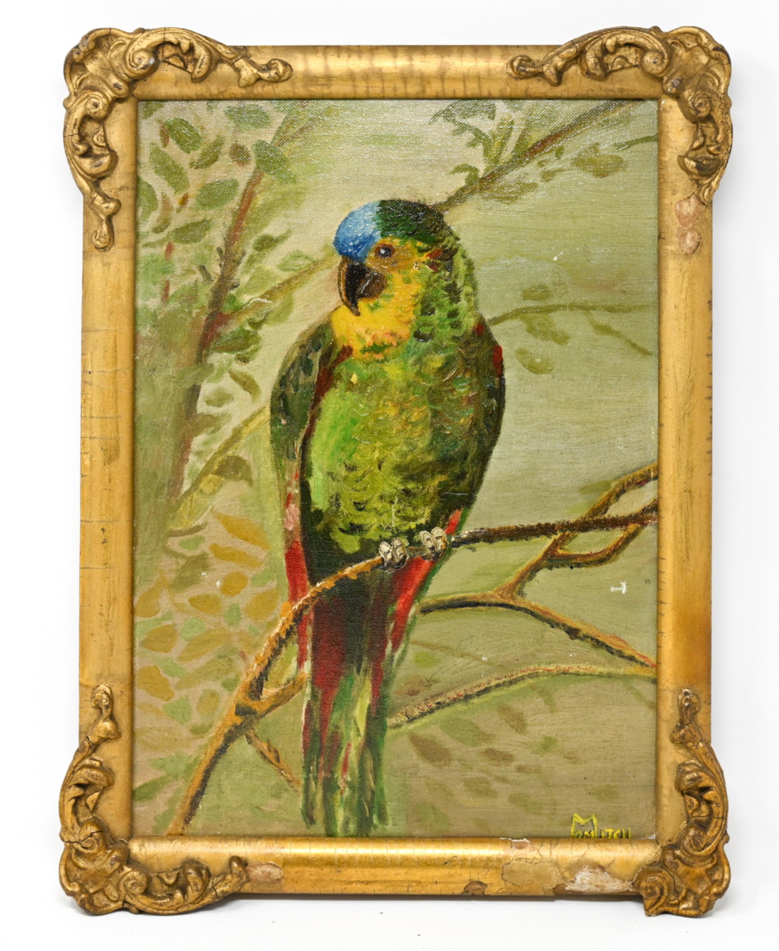 VINTAGE PARROT O/C (1 of 10)