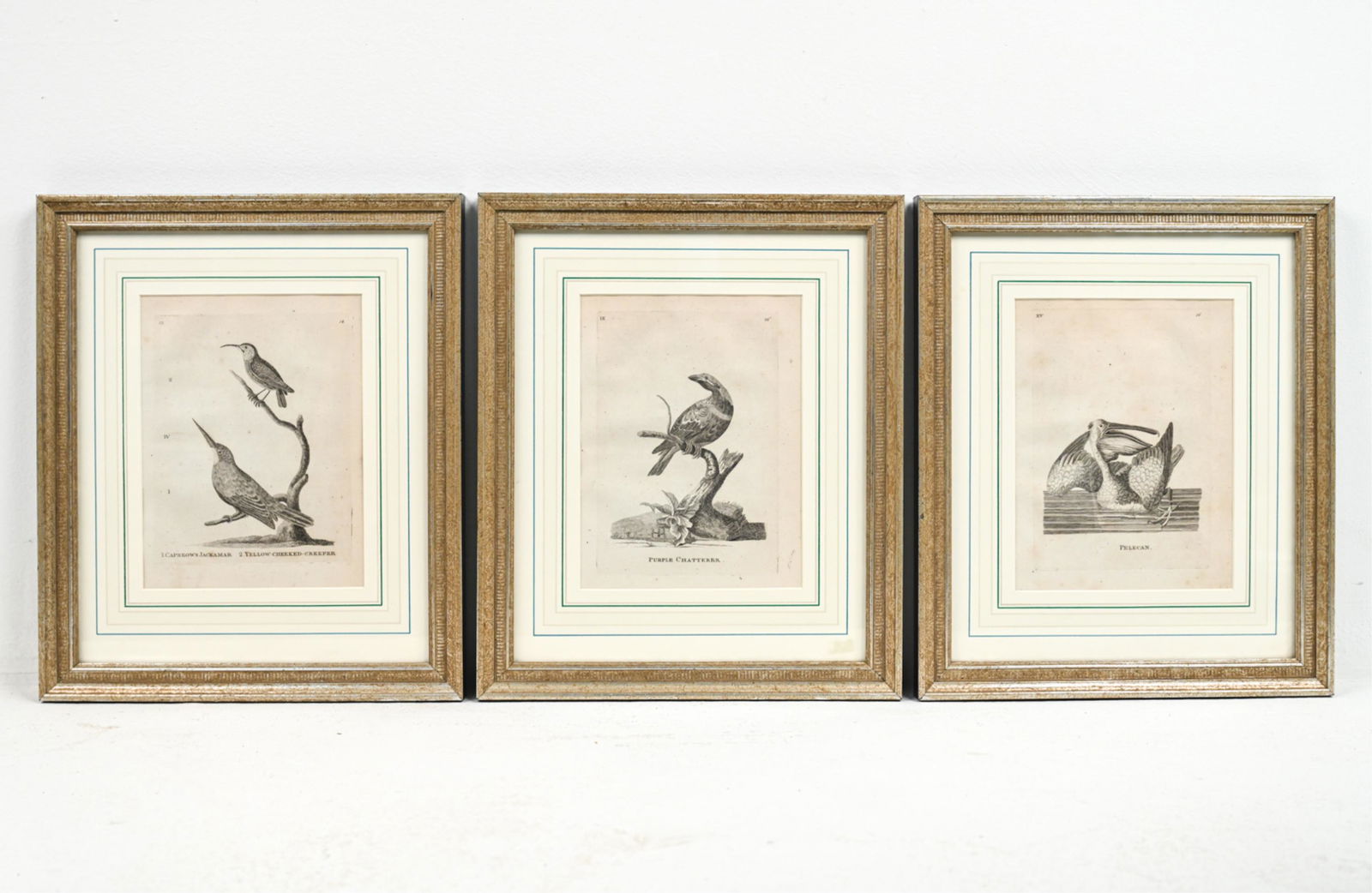 (3) 18TH C. ENGLISH ORNITHOLOGICAL ENGRAVINGS (1 of 13)