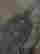 item-128291321=4