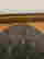 item-128291342=4