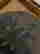 item-128291342=7