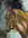 item-128894063=4