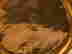 item-129923010=11