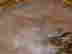 item-129923010=9