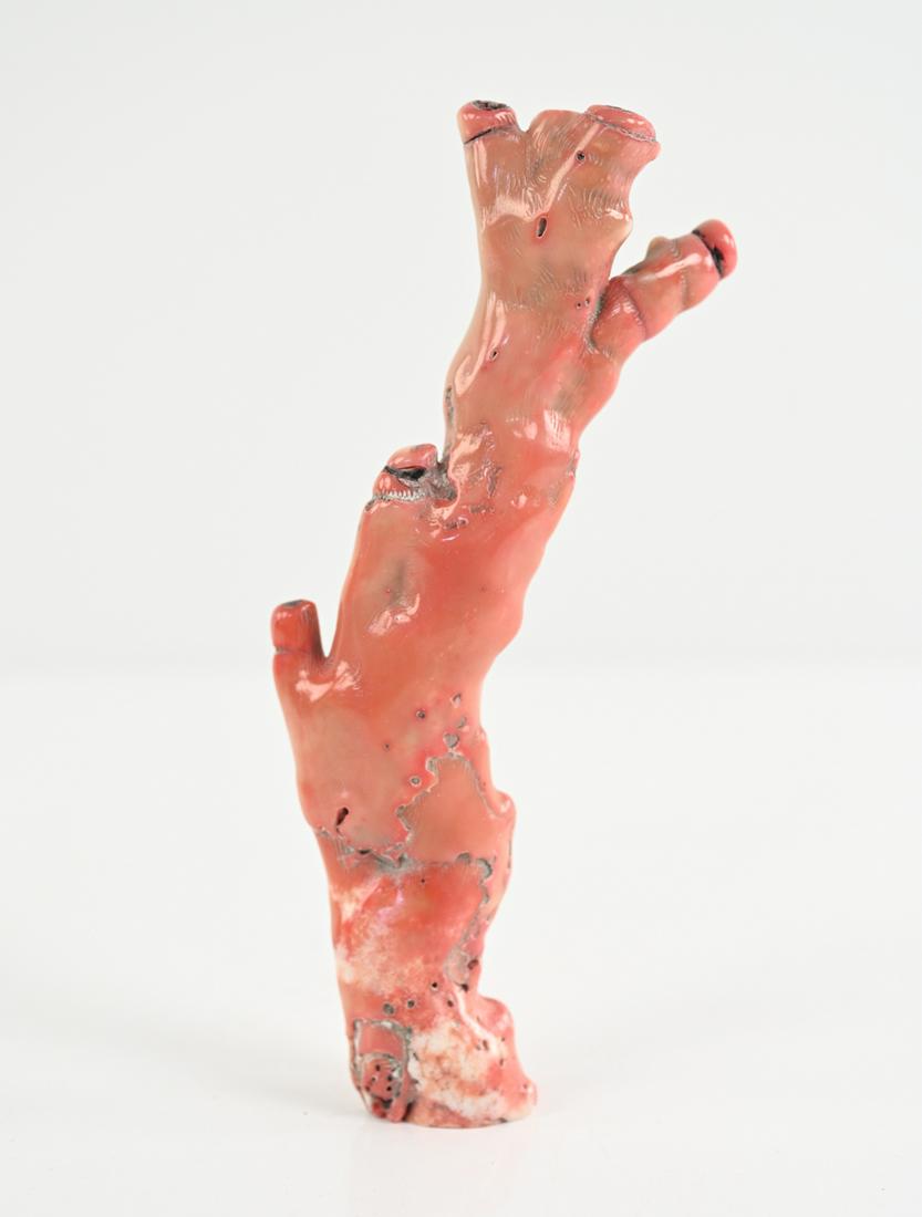 BRANCH CORAL SPECIMEN (1 of 13)
