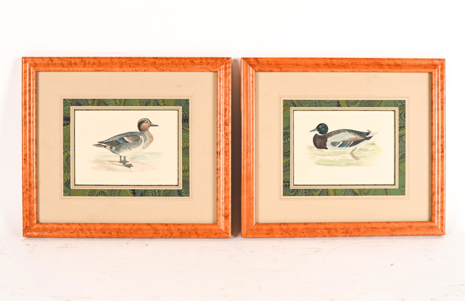 (2) C. 1870 F. O. MORRIS COLOR ENGRAVINGS, DUCKS (1 of 11)