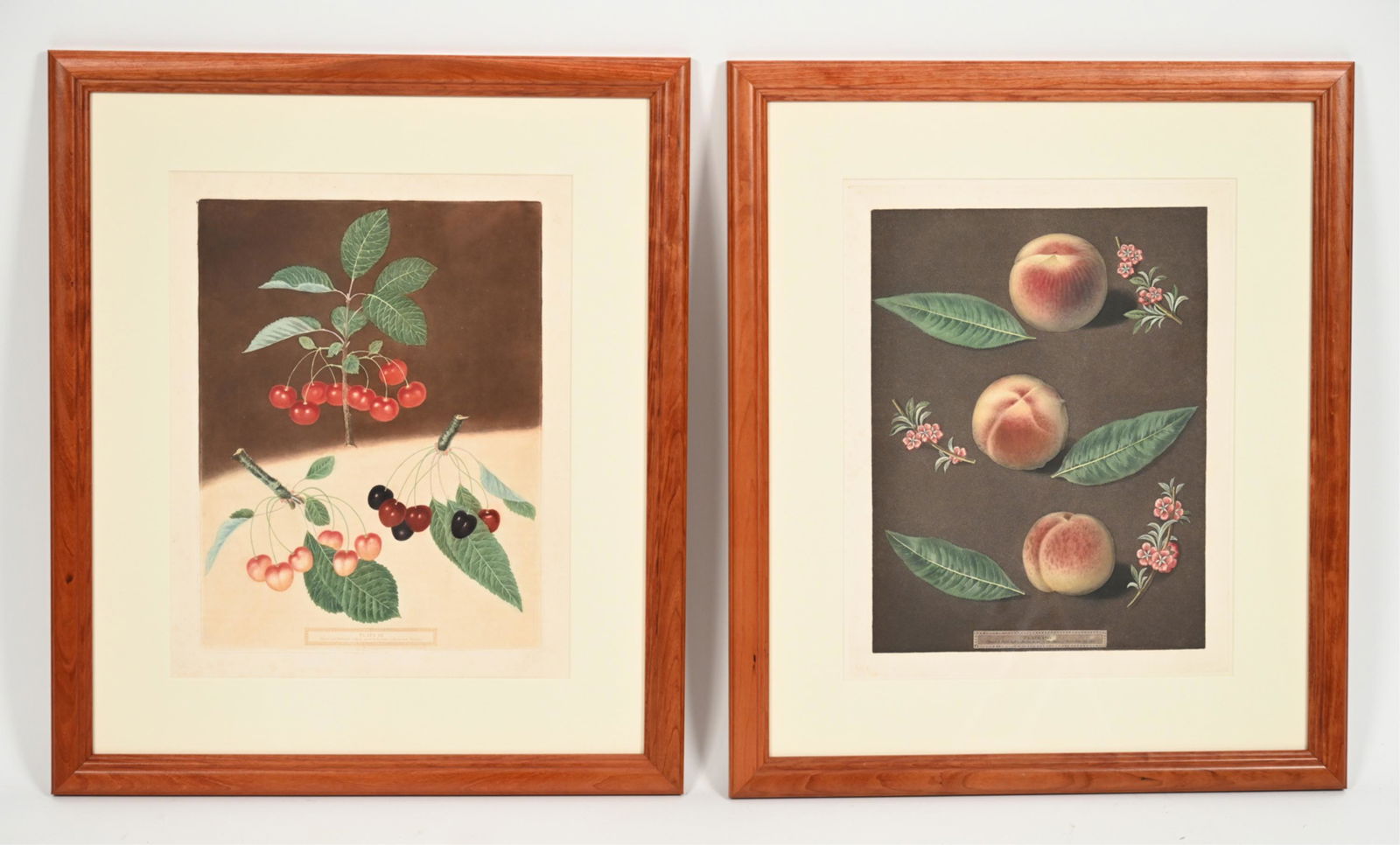 PAIR OF C. BROOKSHAW FRUIT ENGRAVINGS (1 of 10)