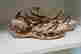 item-131352000=12