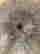 item-131494313=11