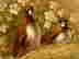 item-131494324=2