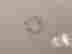 item-131494324=9