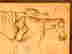 item-131494355=3