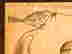 item-131494355=7