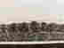 item-131494532=6