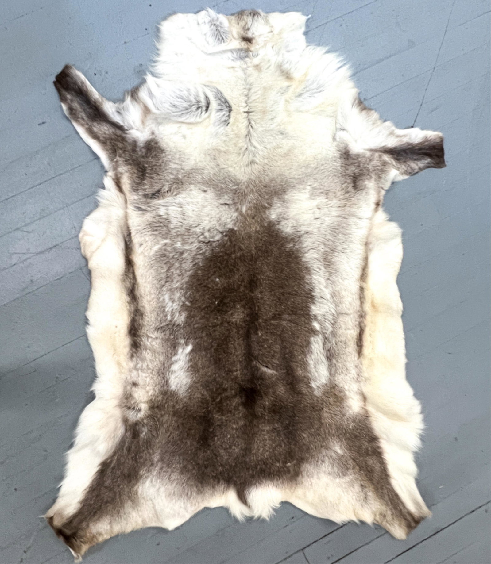VINTAGE REINDEER HIDE RUG (1 of 8)