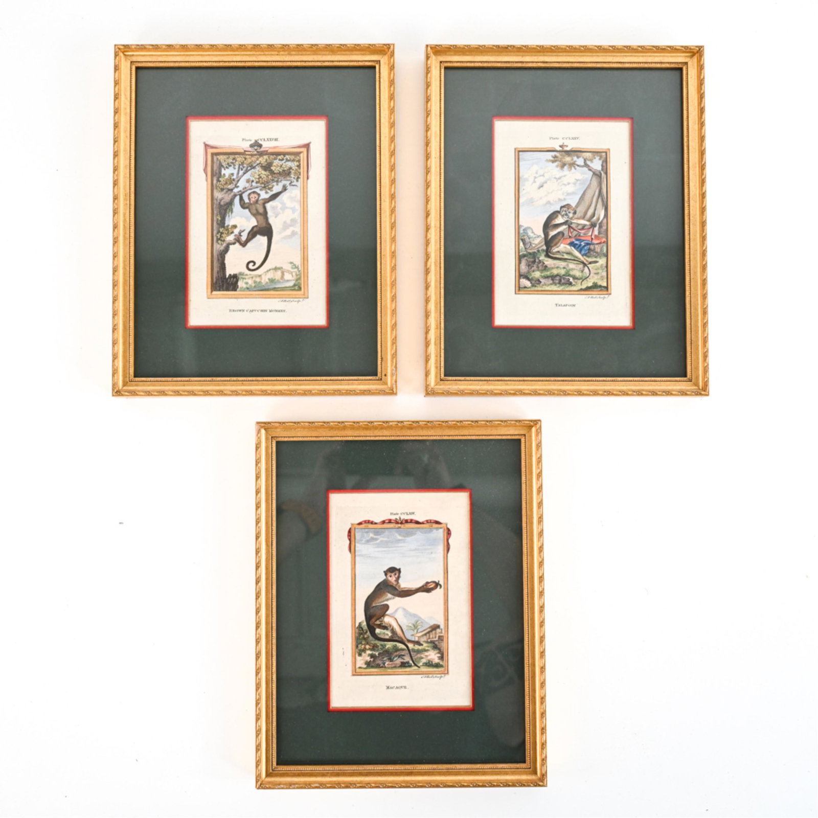 (3) 19TH C HAND-COLORED COMTE DE BUFFON ENGRAVINGS (1 of 10)