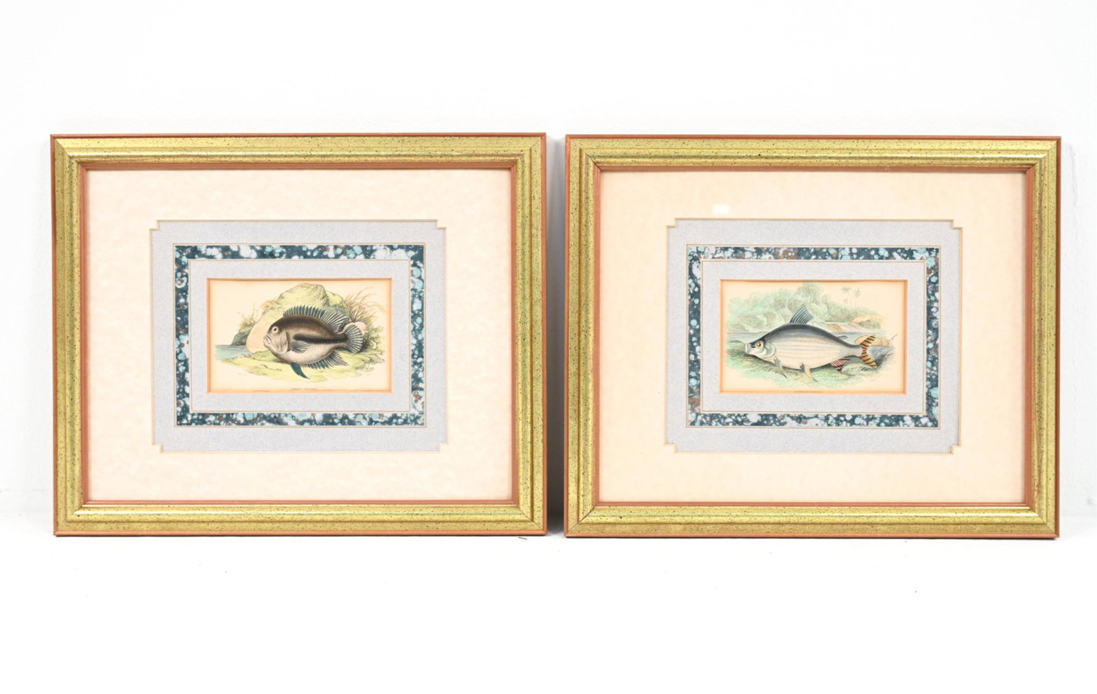 PAIR OF 19TH C. HAND-COLORED FISH ENGRAVINGS (1 of 8)
