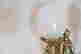 item-133836735=12