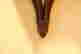 item-133836758=8