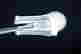 item-134149855=10
