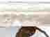 item-134150030=11