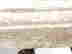 item-134150030=12