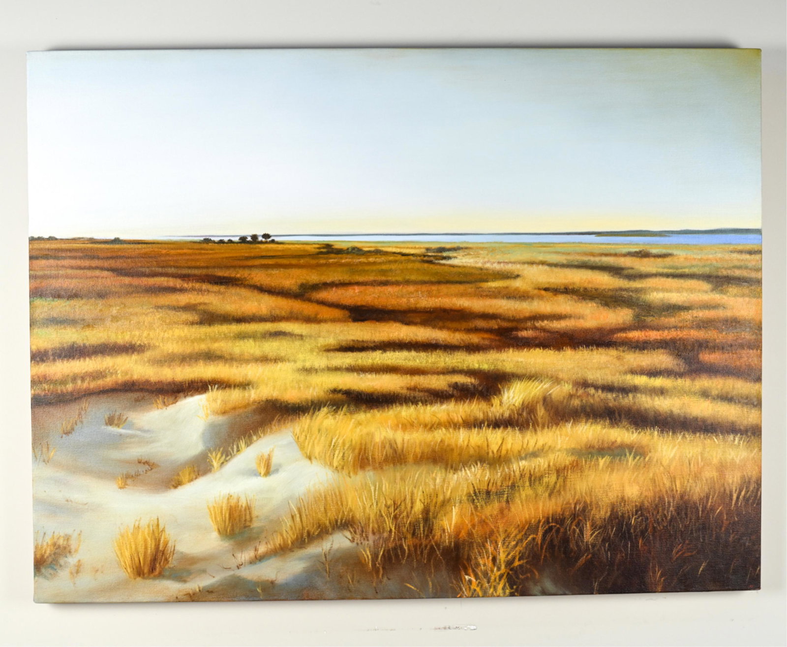 SCOTT DUCE, AMERICAN (B. 1956) O/C MARSH (1 of 15)