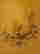 item-136606320=15