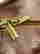item-136606650=15