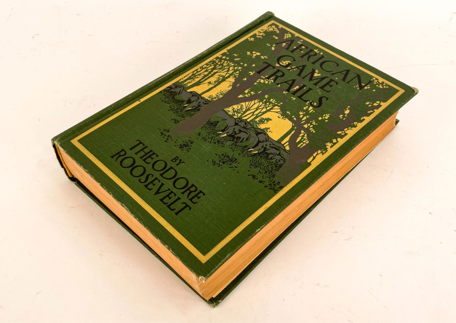 THEODORE ROOSEVELT "AFRICAN GAME TRAILS" 1910 (1 of 15)