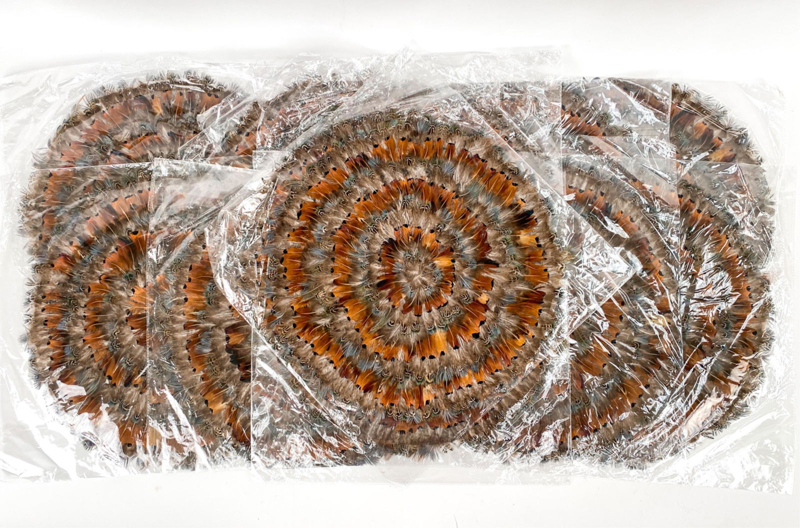 (12) IRIDESCENT PHEASANT FEATHER PLACEMATS: A dozen hand-crafted feather placemats. Natural pheasant feathers in tones of browns, black, grey and green. Dimensions: Dia. 16" Condition: New in original packages.