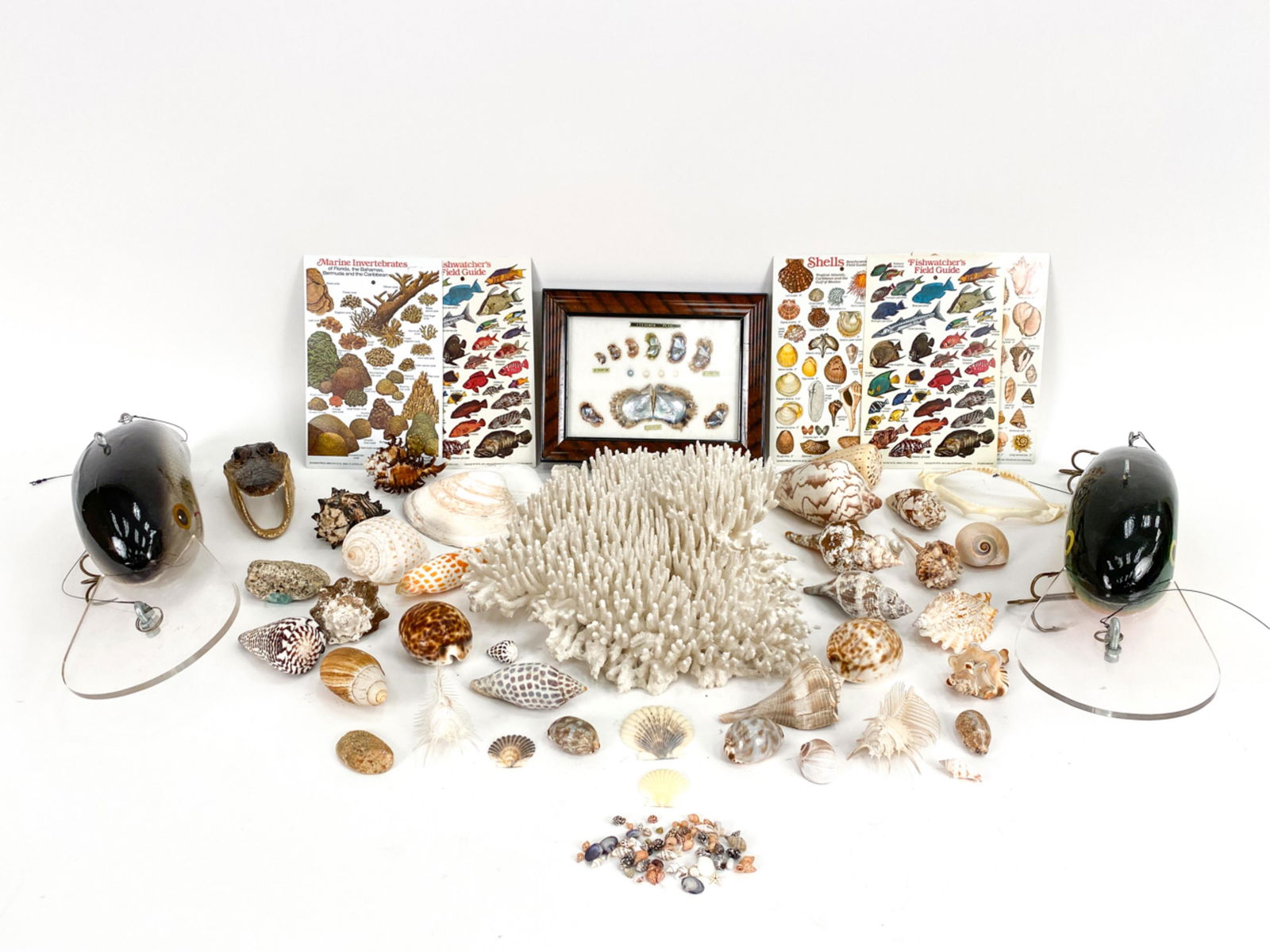 NATURAL HISTORY GROUPING (1 of 16)