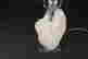 item-136982076=17
