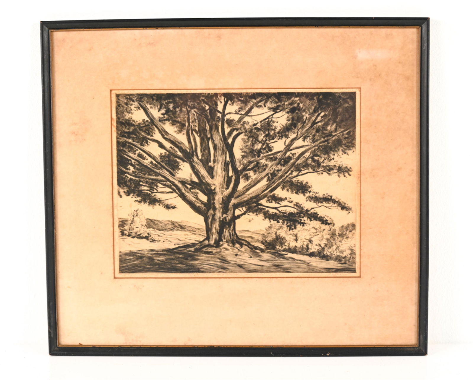 DRYPOINT ETCHING OF TREE IN LANDSCAPE (1 of 8)