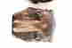item-136982519=5