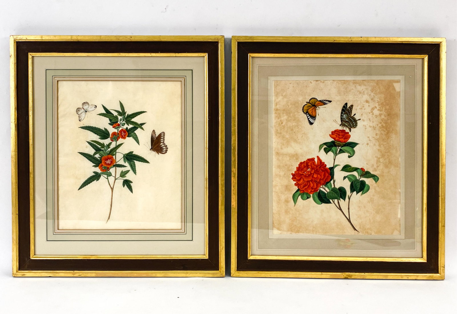 (2) LARGE 19TH C. CHINESE BOTANICALS (1 of 11)